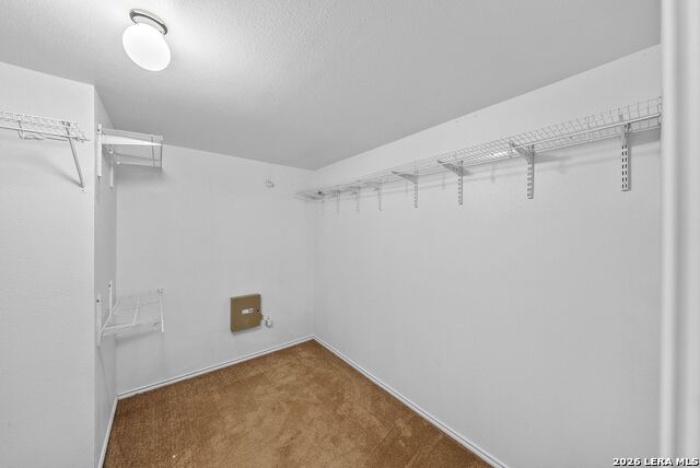 Image 32 of 41 For 25615 Velvet Rose