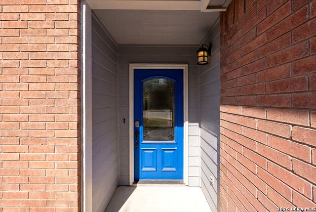 Image 4 of 41 For 25615 Velvet Rose