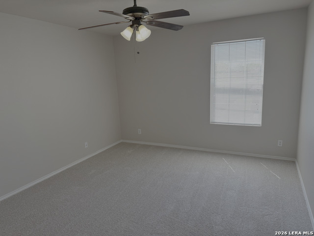 Image 11 of 19 For 3935 Angel Trumpet