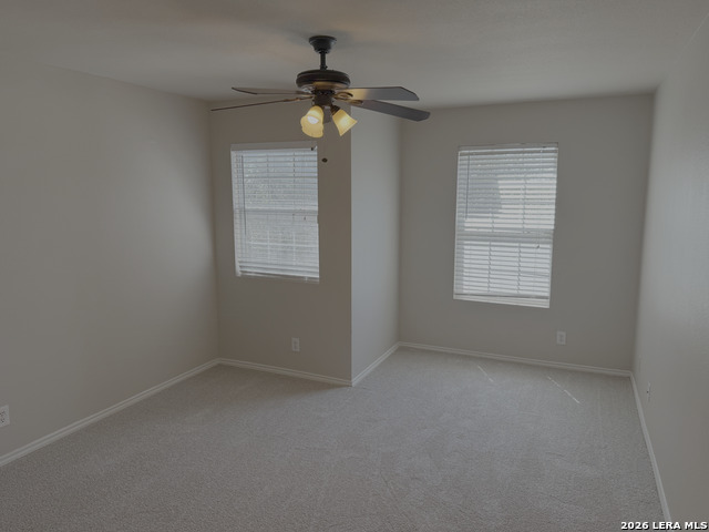 Image 12 of 19 For 3935 Angel Trumpet