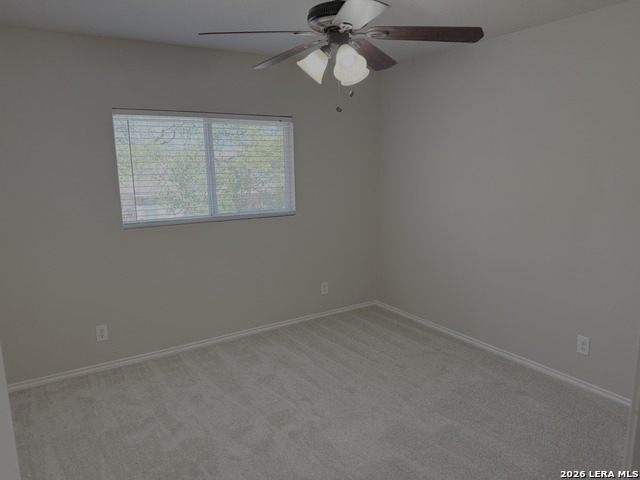 Image 13 of 19 For 3935 Angel Trumpet