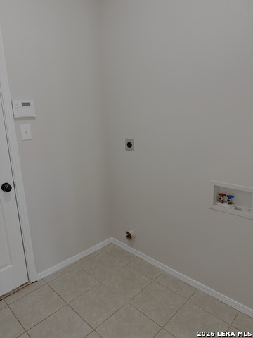 Image 17 of 19 For 3935 Angel Trumpet