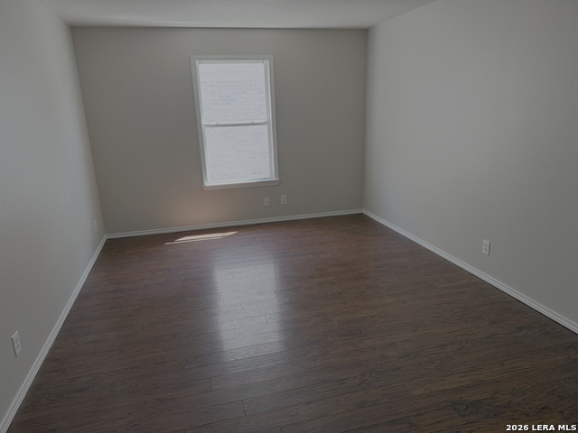 Image 2 of 19 For 3935 Angel Trumpet