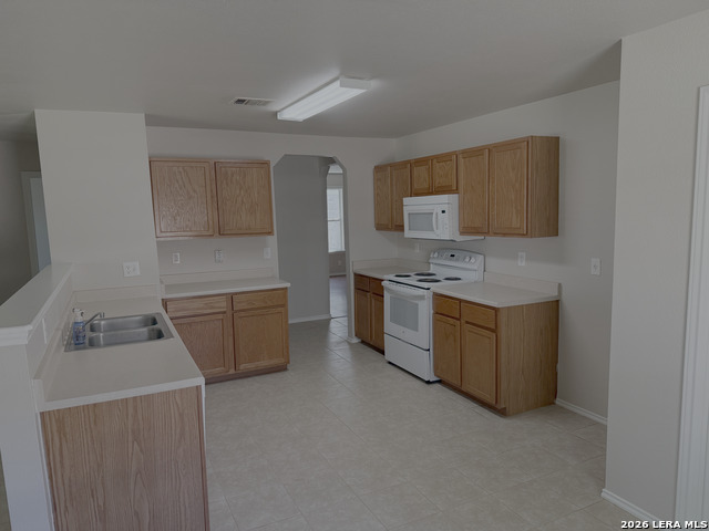 Image 3 of 19 For 3935 Angel Trumpet