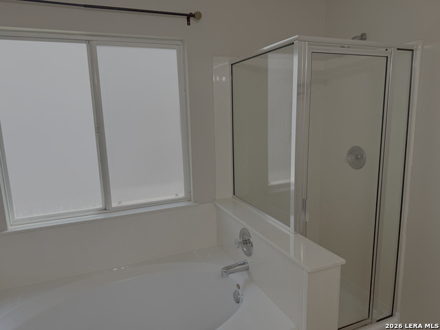 Image 8 of 19 For 3935 Angel Trumpet