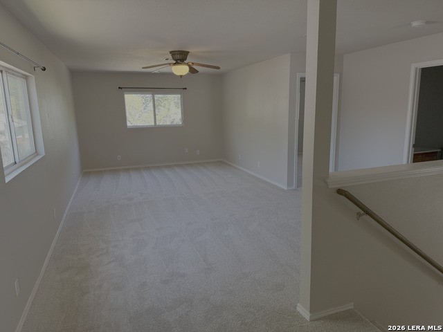 Image 9 of 19 For 3935 Angel Trumpet