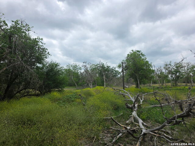 Details for 2328 Chavaneaux E, San Antonio, TX 78214