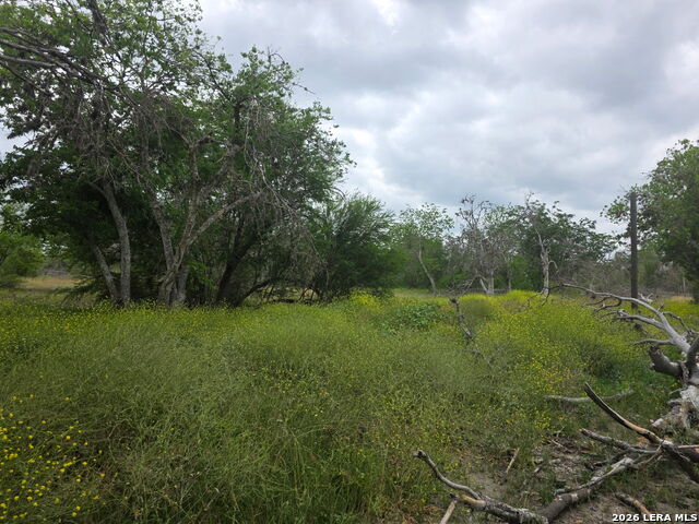 Image 3 of 31 For 2328 Chavaneaux E