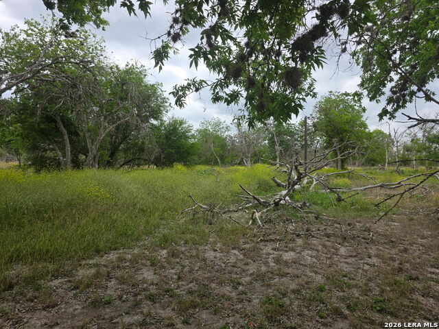 Image 6 of 31 For 2328 Chavaneaux E