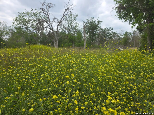 Details for 2324 Chavaneaux E, San Antonio, TX 78214