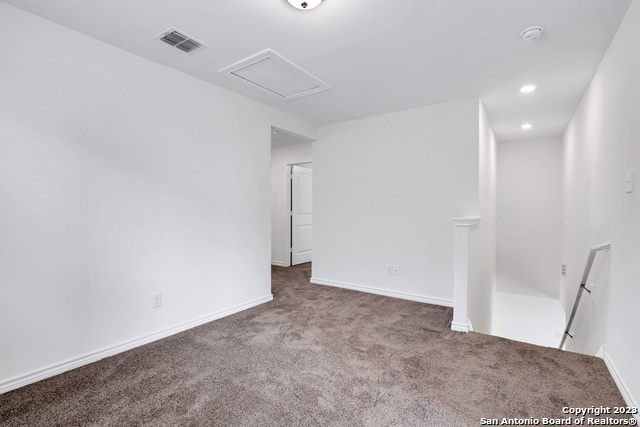 Image 15 of 27 For 11732 Red Pheasant