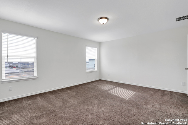 Image 17 of 27 For 11732 Red Pheasant