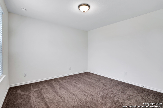 Image 21 of 27 For 11732 Red Pheasant