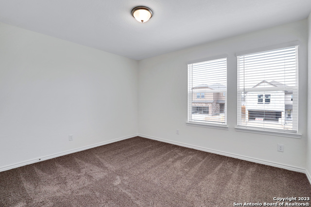 Image 23 of 27 For 11732 Red Pheasant