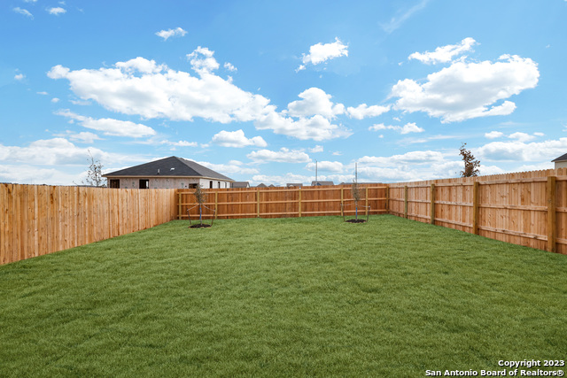 Image 25 of 27 For 11732 Red Pheasant