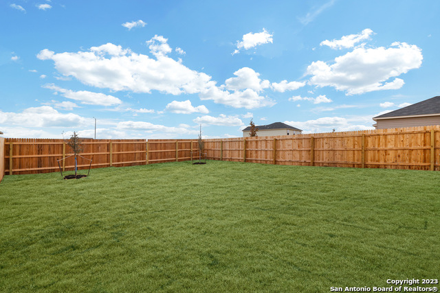 Image 26 of 27 For 11732 Red Pheasant
