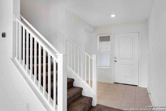 Image 3 of 27 For 11732 Red Pheasant