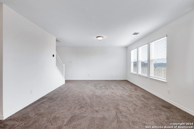 Image 6 of 27 For 11732 Red Pheasant