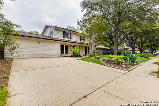 Image 2 of 33 For 555 Patricia