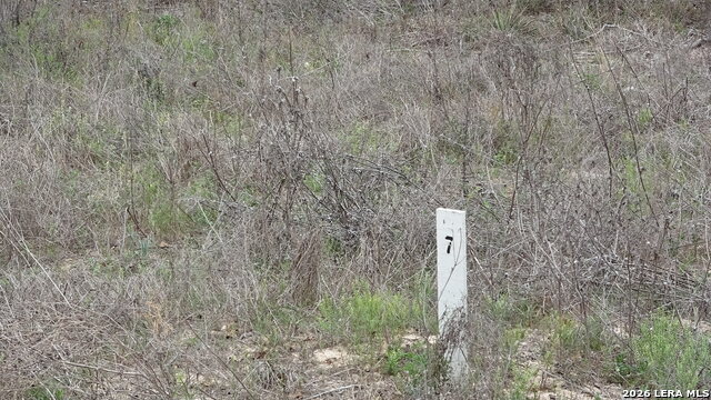 Details for 22823 Cherry Rock, Elmendorf, TX 78112