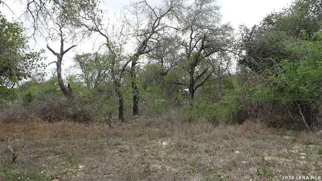 Image 5 of 6 For 22823 Cherry Rock