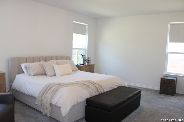 Image 20 of 50 For 5203 Wolf Bane