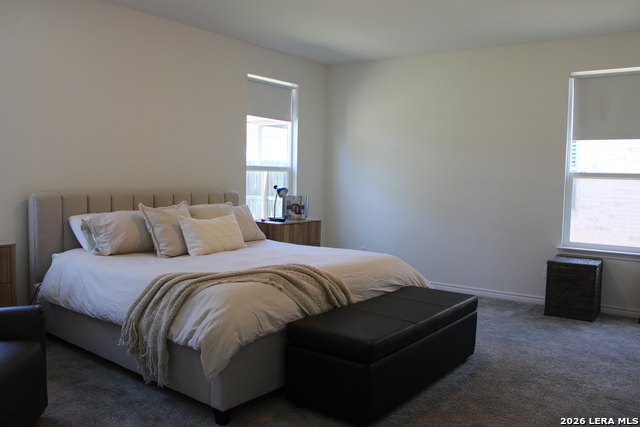 Image 21 of 50 For 5203 Wolf Bane