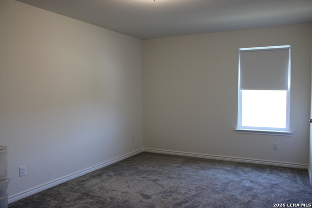 Image 29 of 50 For 5203 Wolf Bane