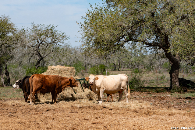 Image 23 of 69 For 2632 Slickfield Road