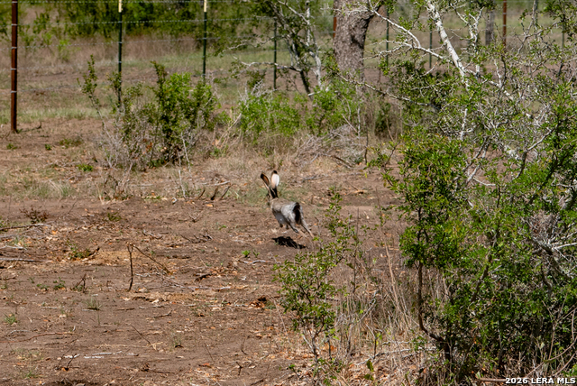 Image 26 of 69 For 2632 Slickfield Road