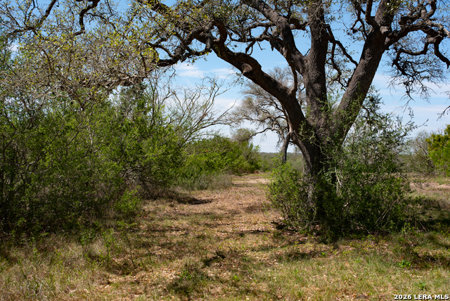 Image 36 of 69 For 2632 Slickfield Road