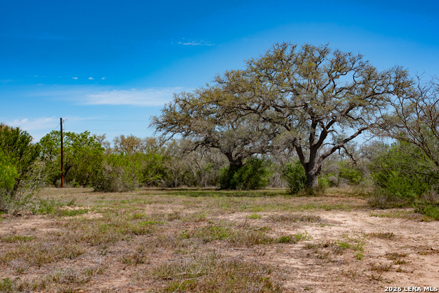 Image 38 of 69 For 2632 Slickfield Road