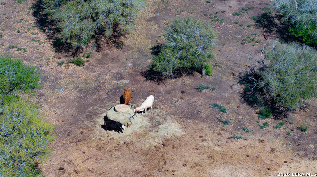 Image 51 of 69 For 2632 Slickfield Road