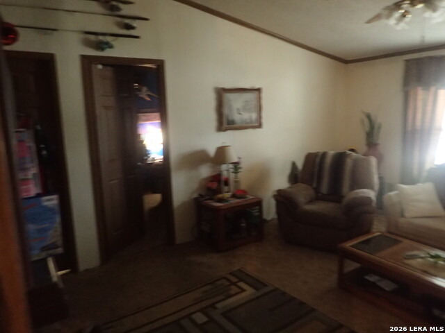 Image 7 of 12 For 128 Dorothy  