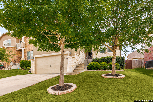 Image 2 of 35 For 11344 Silver Rose