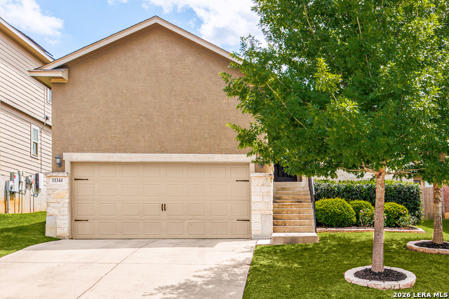 Image 31 of 35 For 11344 Silver Rose