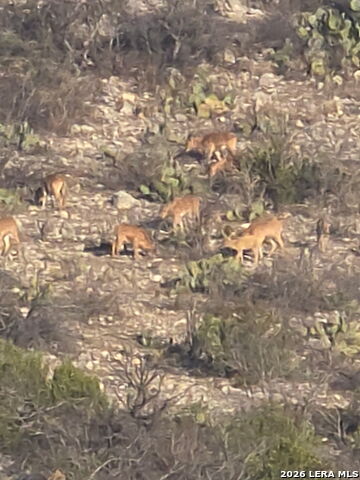 Listing photo id 8 for Tbd High Lonesome