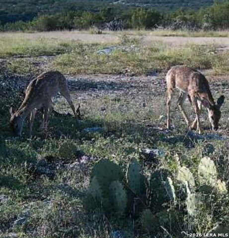 Listing photo id 9 for Tbd High Lonesome