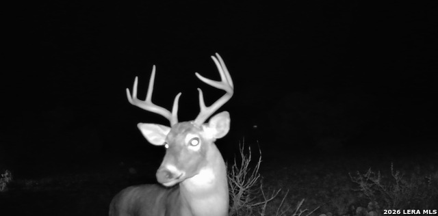 Listing photo id 10 for Tbd High Lonesome