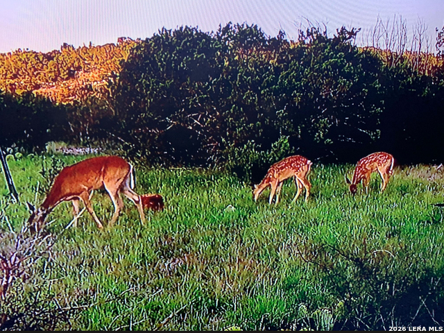 Listing photo id 11 for Tbd High Lonesome