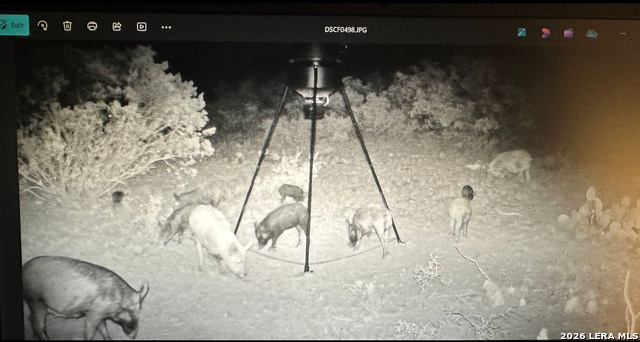 Listing photo id 12 for Tbd High Lonesome