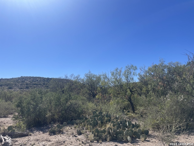 Listing photo id 14 for Tbd High Lonesome