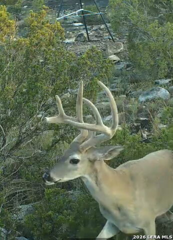 Listing photo id 6 for Tbd High Lonesome