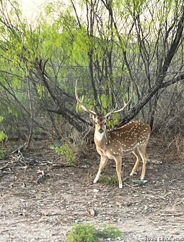 Listing photo id 7 for Tbd High Lonesome