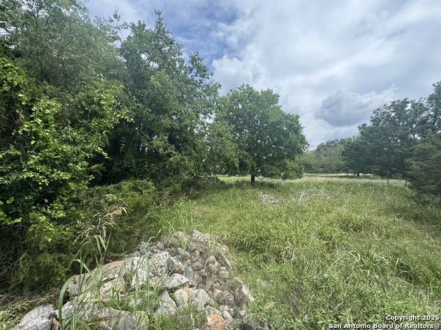 Image 10 of 36 For Lot 10 Browning