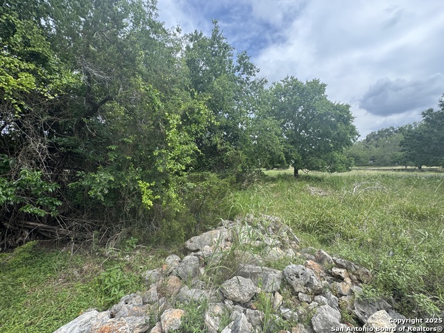 Image 11 of 36 For Lot 10 Browning