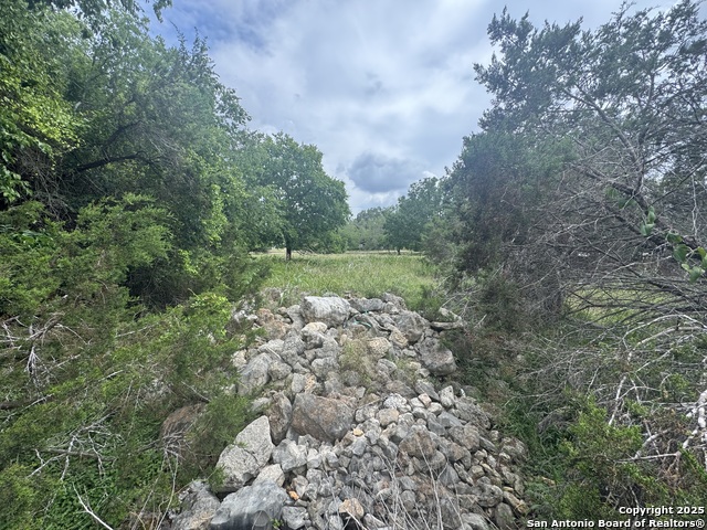 Image 12 of 36 For Lot 10 Browning