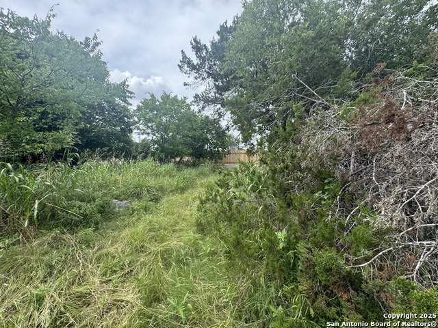 Image 13 of 36 For Lot 10 Browning