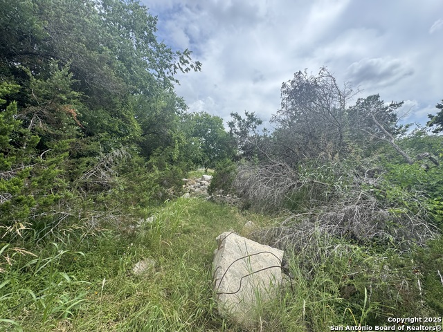 Image 15 of 36 For Lot 10 Browning