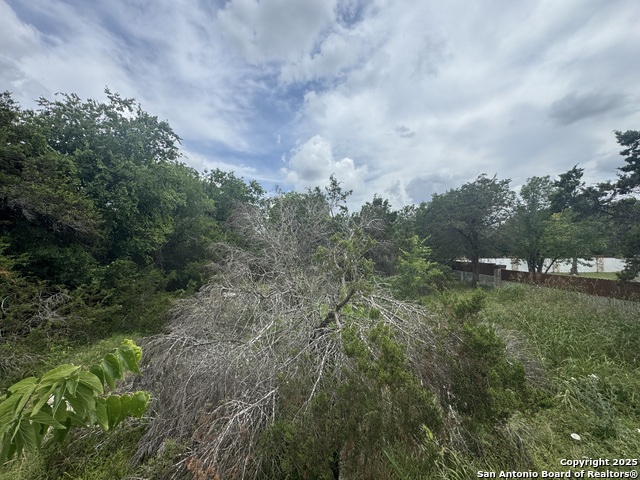 Image 16 of 36 For Lot 10 Browning